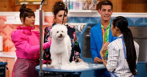 The Best Competition Show on TV Is HBO’s ‘Haute Dog’ .